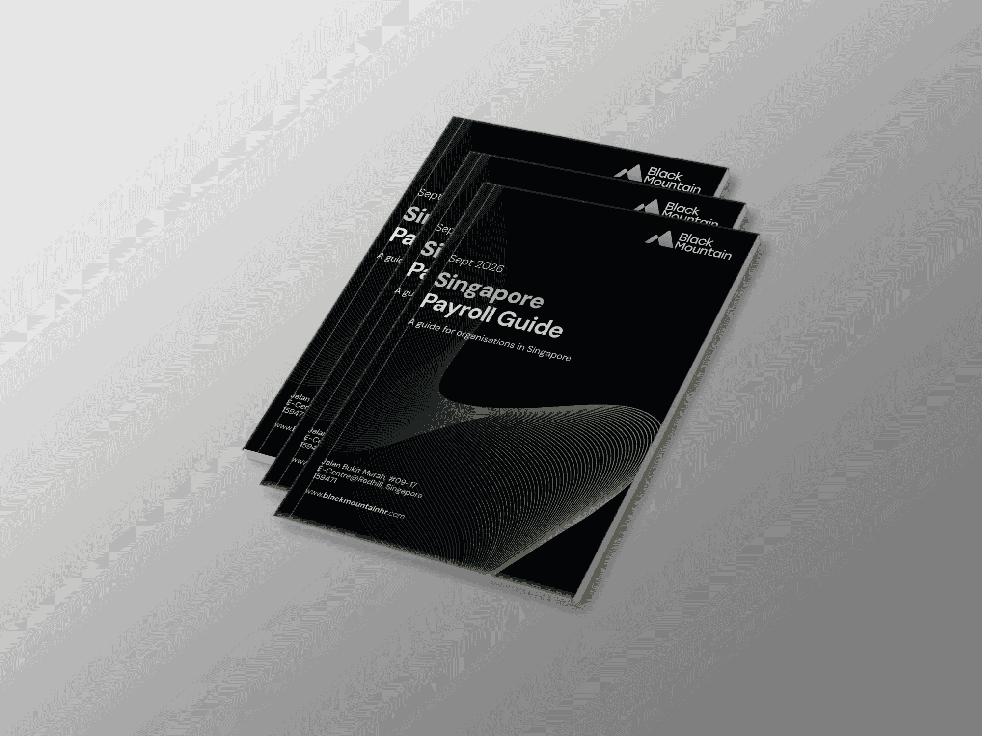 Singapore Payroll Guide | Black Mountain Singapore
